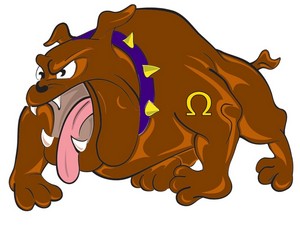Categoria collari per cani